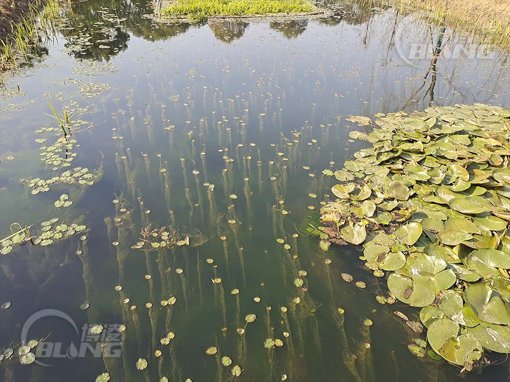 竣工实景